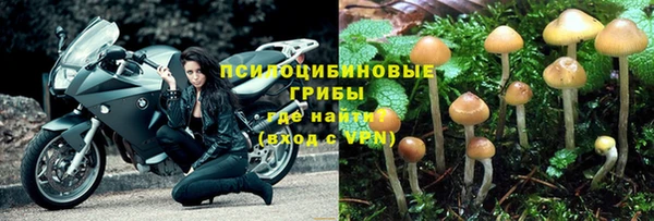 мяу мяу мука Белоозёрский